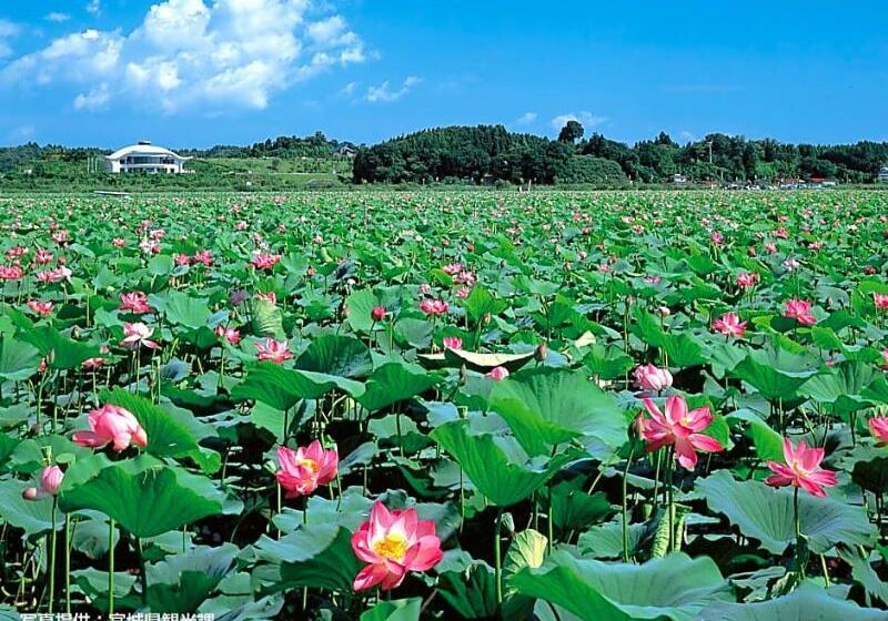 בית מלון כפרי Green With