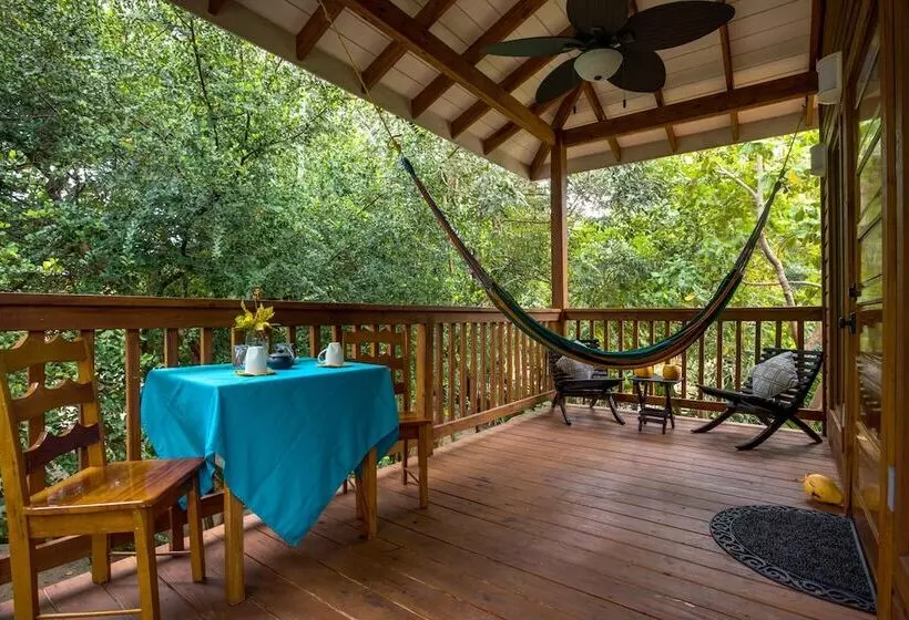 هتل Mariposa Belize Beach Resort