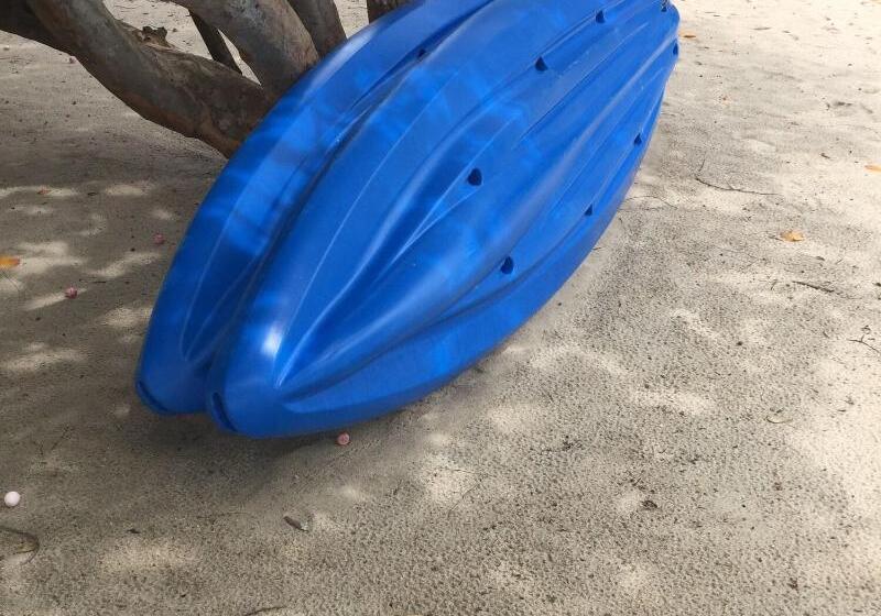 酒店 Mariposa Belize Beach Resort