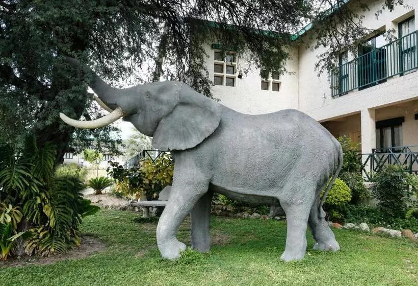 هتل Maun Lodge