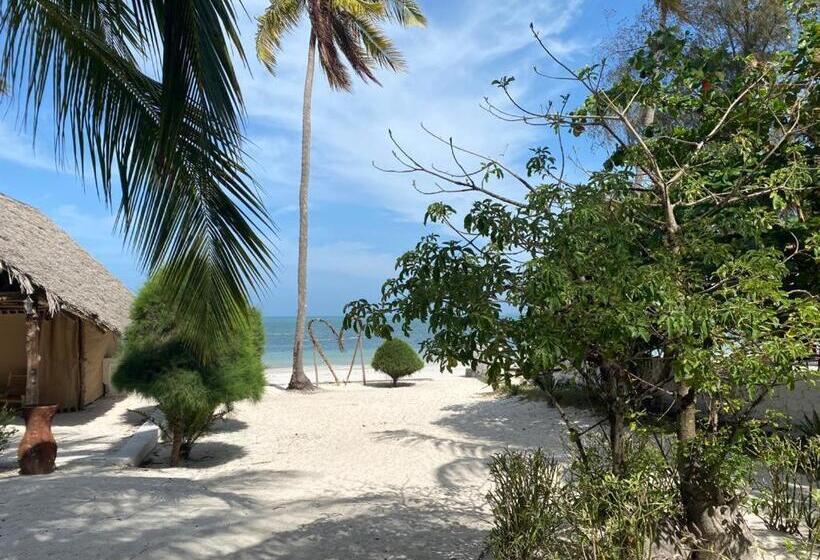 ホテル Moonshine Uroa Boutique