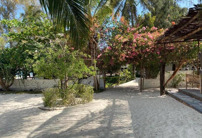 ホテル Moonshine Uroa Boutique