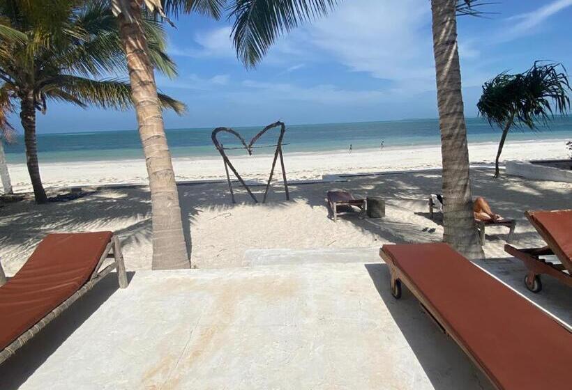 ホテル Moonshine Uroa Boutique