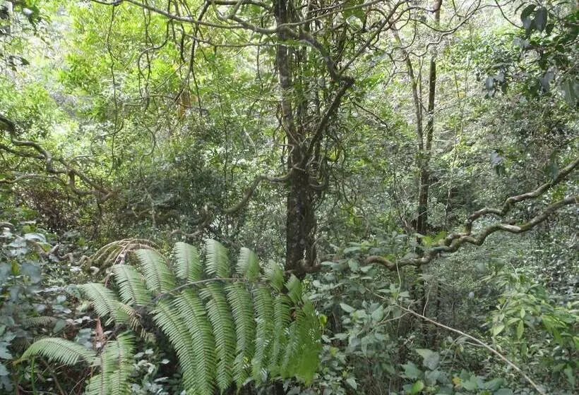 Hotelli North Borneo Biostation Resort