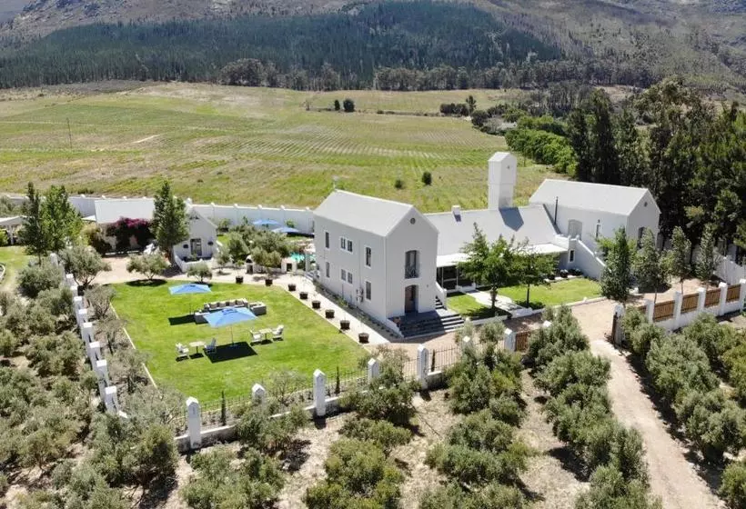 Majatalo Goodings Groves Olive Farm