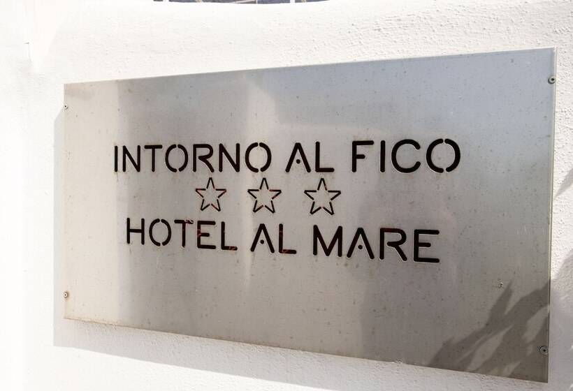 פנסיון Intorno Al Fico