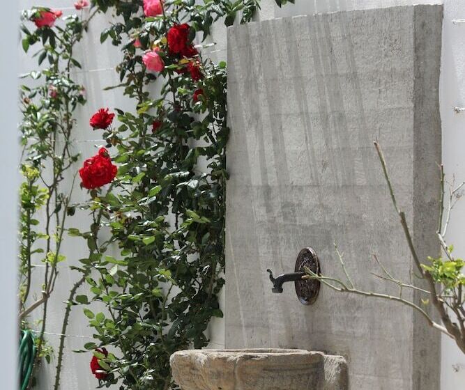 פנסיון Intorno Al Fico