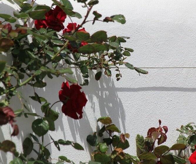 פנסיון Intorno Al Fico