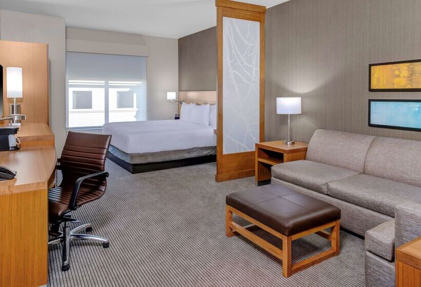 ホテル Hyatt Place Dallas/allen