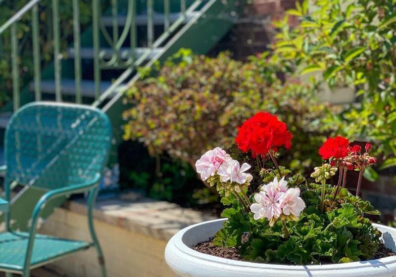 פנסיון Bendene Townhouse