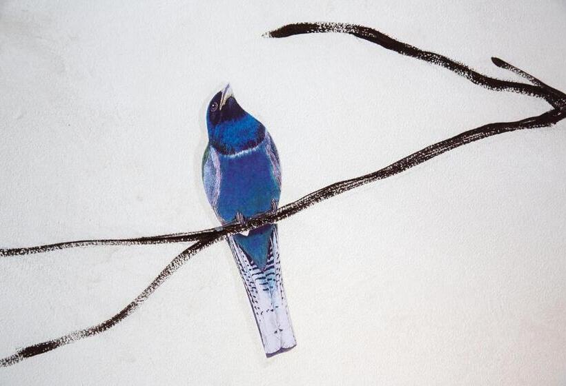 بنسيون Palazzo Conti Camere & Suites