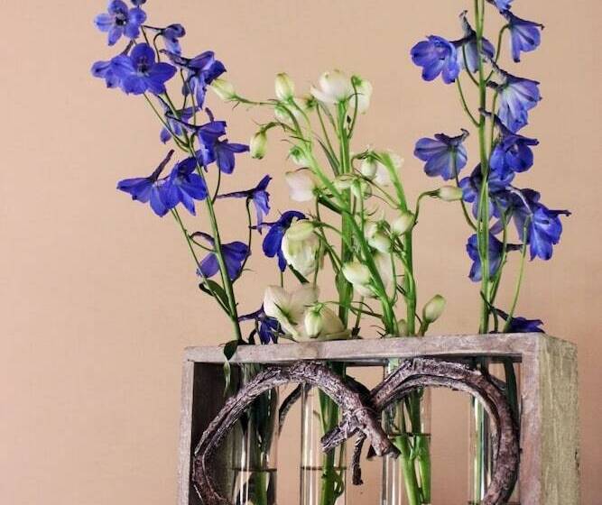 Thulamela Bed And Breakfast