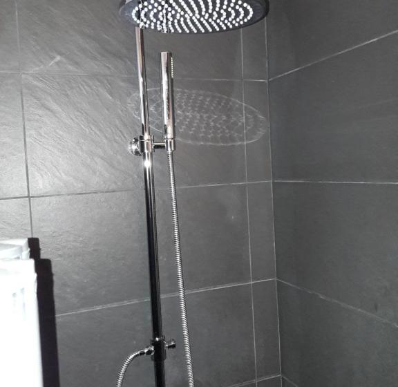 Apartaments Y Habitacions Entre Volcans