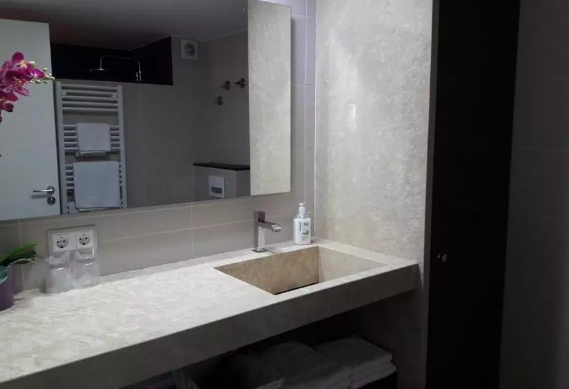 Apartaments Y Habitacions Entre Volcans