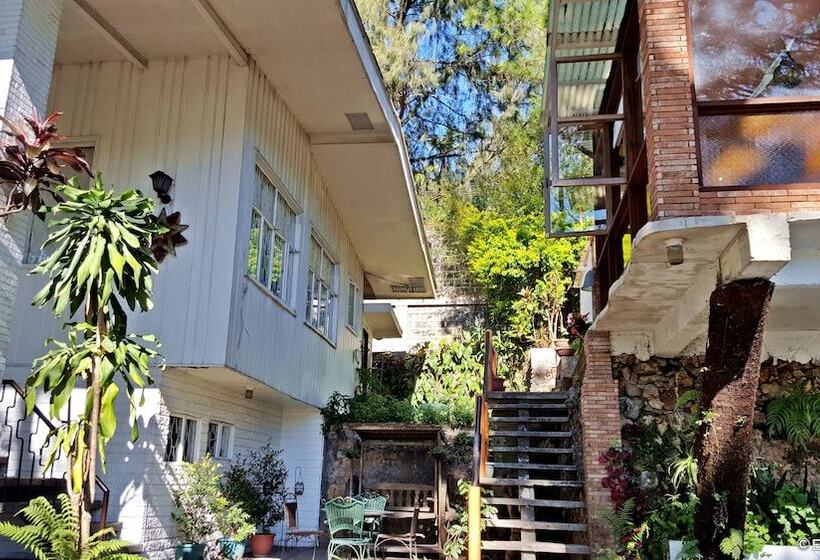 住宿加早餐 La Casa Bianca