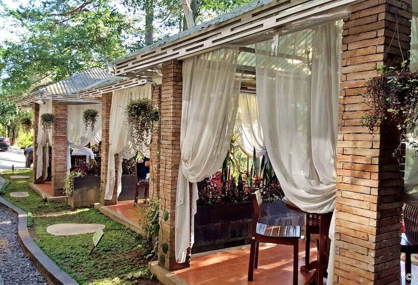 住宿加早餐 La Casa Bianca