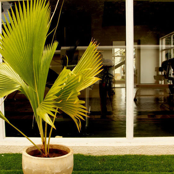 Dream Glory Apartment