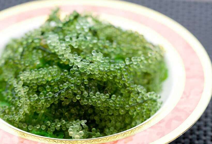 酒店 Hamahigashima Resort