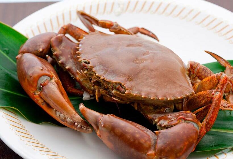 酒店 Hamahigashima Resort