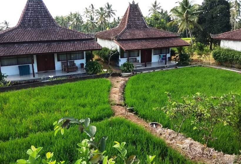 ホテル Kampoeng Joglo Ijen Banyuwangi