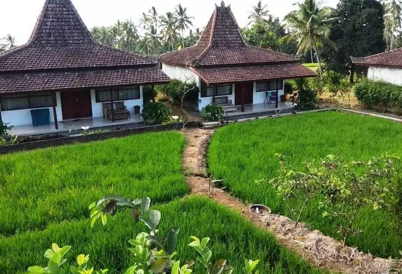 ホテル Kampoeng Joglo Ijen Banyuwangi