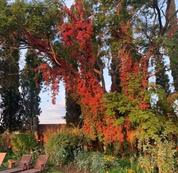 פנסיון Geralds Gift Guest House