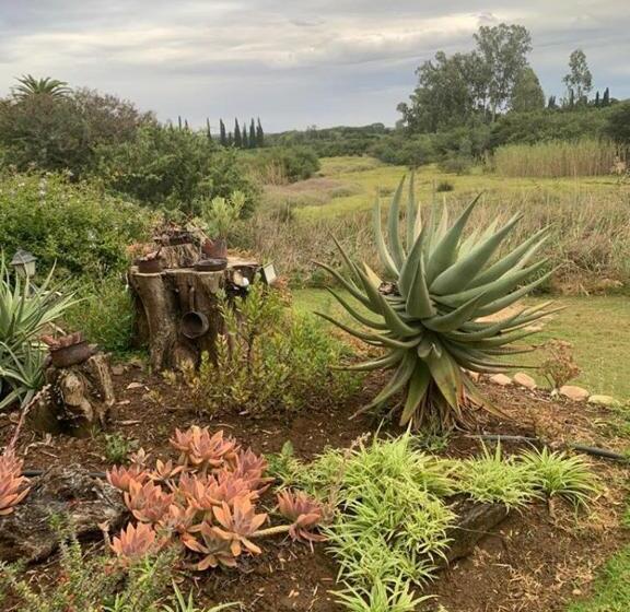 פנסיון Geralds Gift Guest House