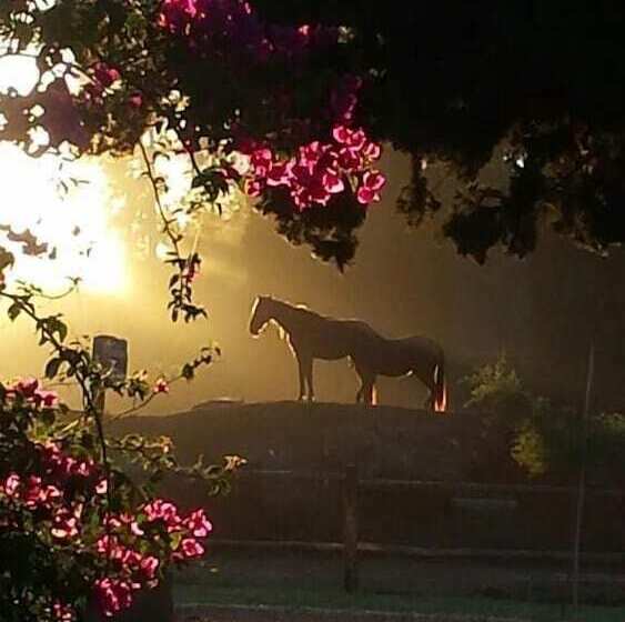 פנסיון Geralds Gift Guest House