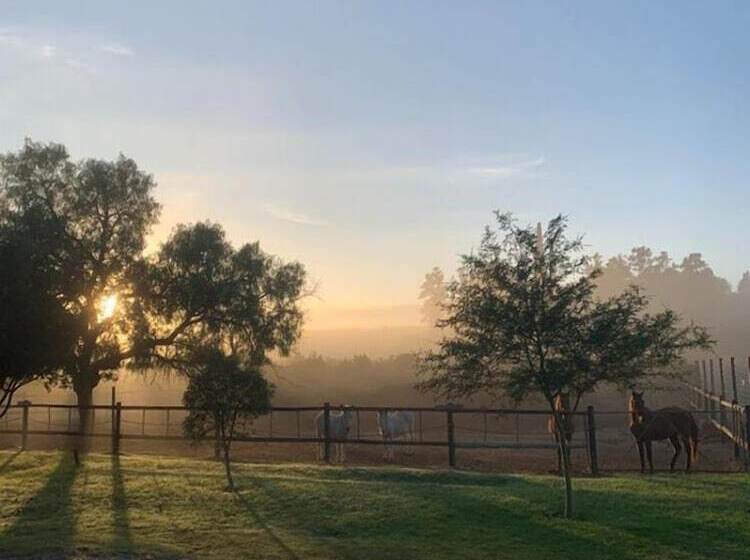 פנסיון Geralds Gift Guest House