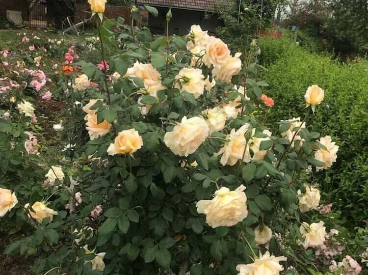 פנסיון Geralds Gift Guest House