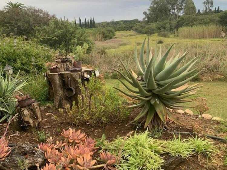 פנסיון Geralds Gift Guest House