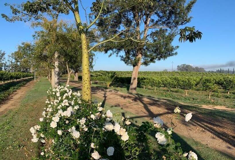 פנסיון Geralds Gift Guest House