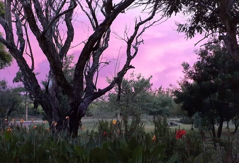 פנסיון Geralds Gift Guest House