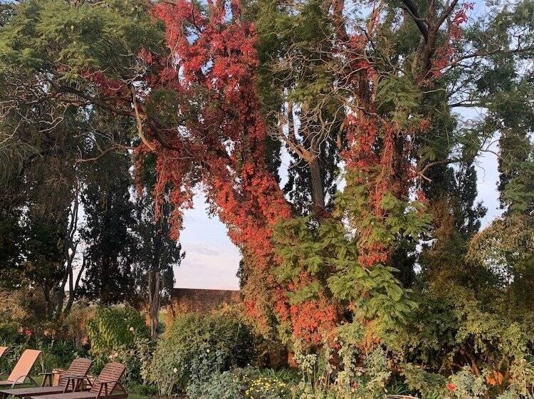 פנסיון Geralds Gift Guest House