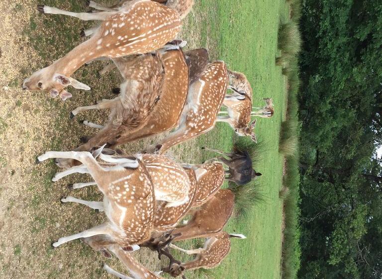 مبيت وإفطار Auberge De La Normandie