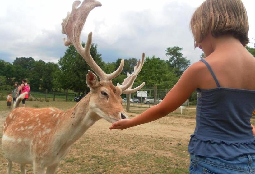 مبيت وإفطار Auberge De La Normandie