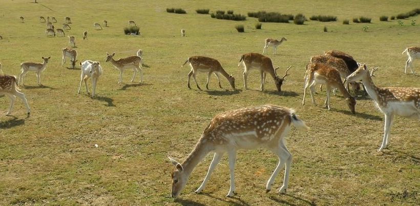 مبيت وإفطار Auberge De La Normandie
