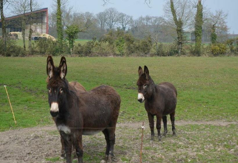 ベッドアンドブレックファースト Ferme De La Lande Chambre D Hôtes