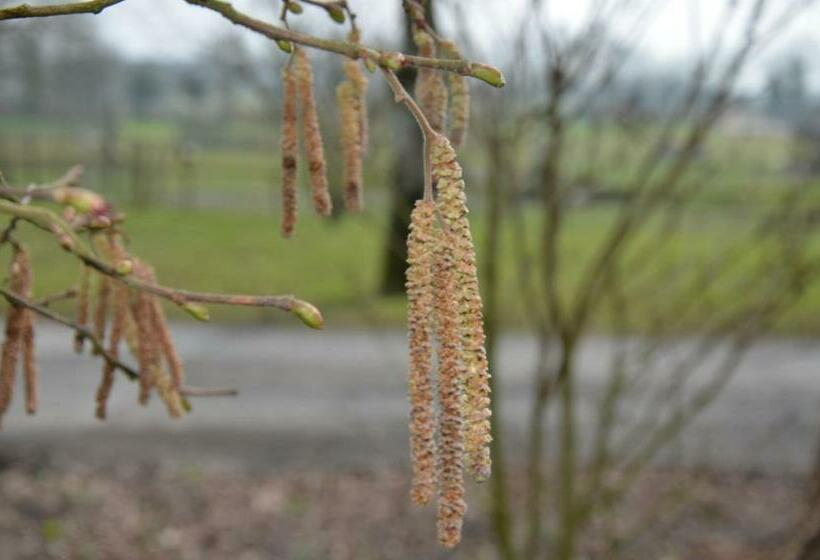 ベッドアンドブレックファースト Ferme De La Lande Chambre D Hôtes