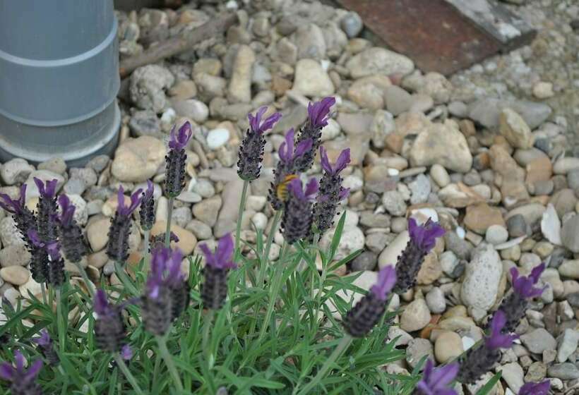 ベッドアンドブレックファースト Ferme De La Lande Chambre D Hôtes