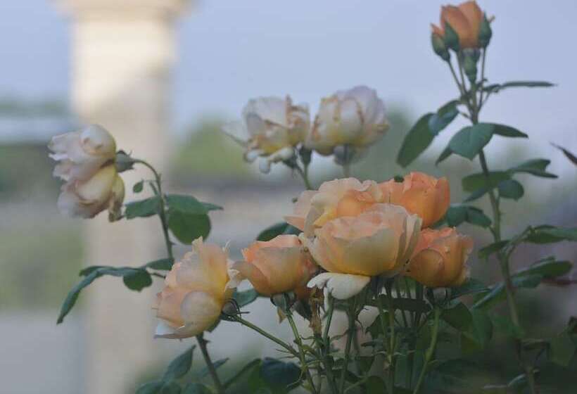 צימר La Pénesais