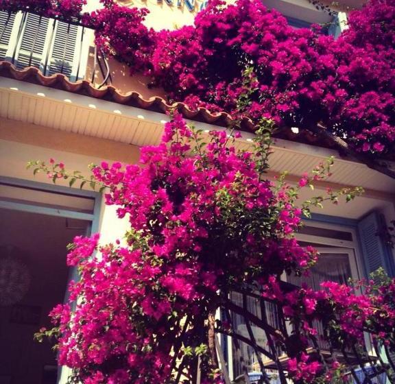 בית מלון כפרי Cyrnos