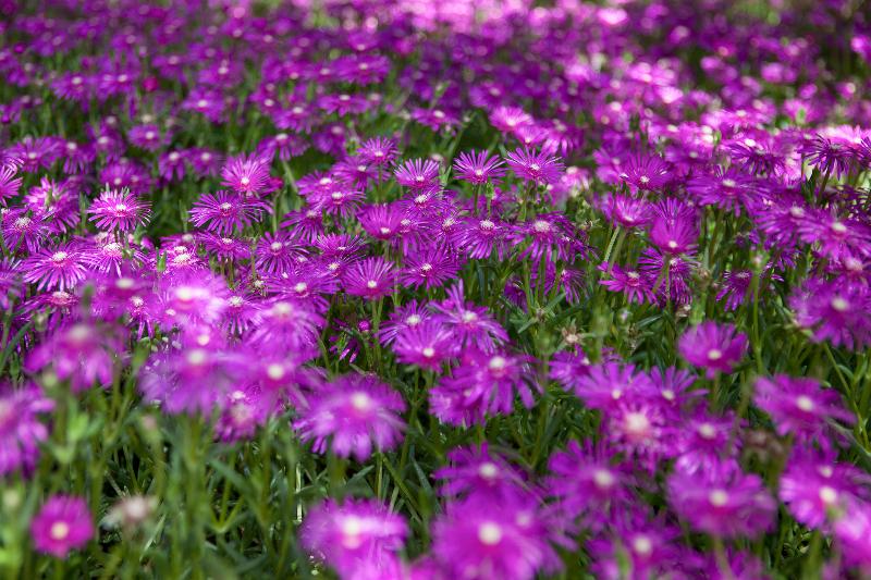 酒店 The Originals City, Hôtel La Closerie, Nantes Nord