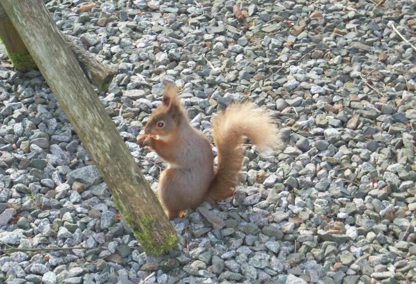 Aamiaismajoitus (B&B) Craignair Cottage