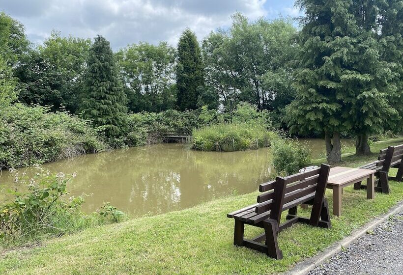 Bed and Breakfast Pinewood Lodge