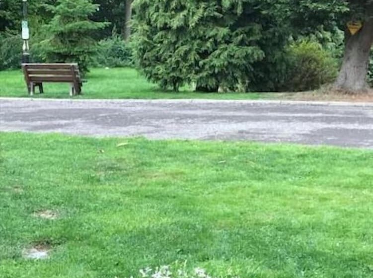 Bed and Breakfast Pinewood Lodge