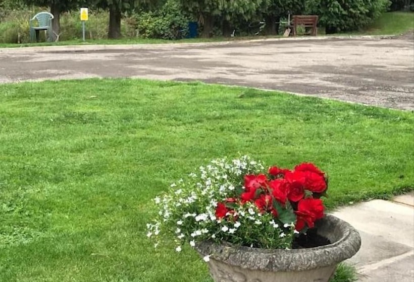 Bed and Breakfast Pinewood Lodge