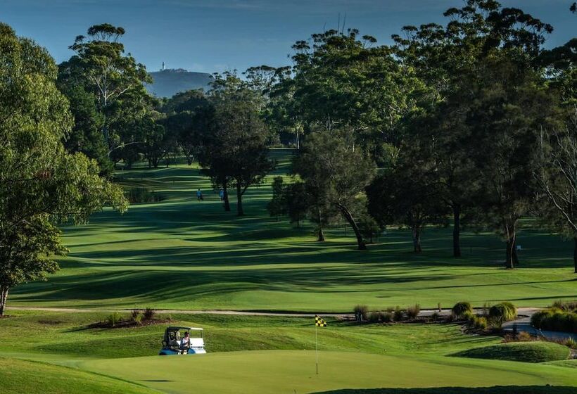 Buhwi Bira Byron Bay Studio Central