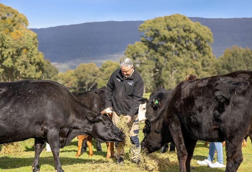 Halls Haven Holiday Units