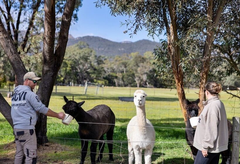 Halls Haven Holiday Units